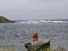 Teddy by the sea