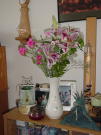 Flowers from the<br>Hawaii group