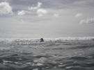 Bob heading out
